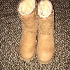 Chestnut Short Uggs